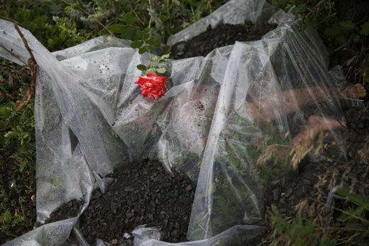 MH17 crash in ukrain